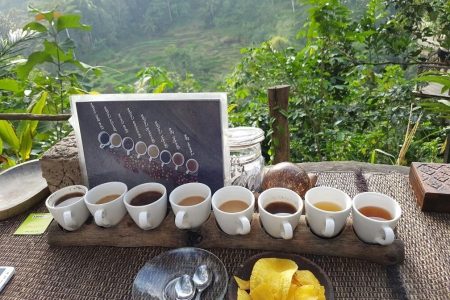 Ubud Swing and Coffee Plantation